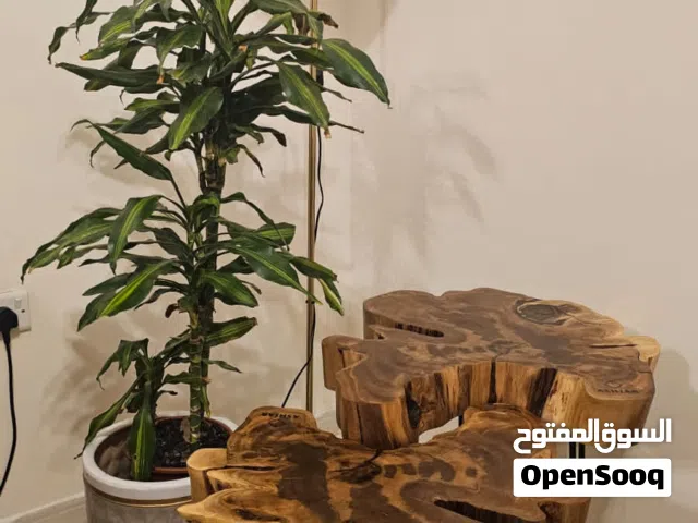 طاولات من جذوع الاشجار والريزن