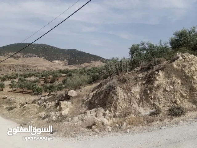 للبيع مزرعة في قرية الرميمين