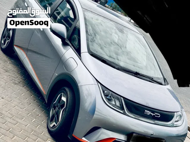 2022 BYD Dolphin