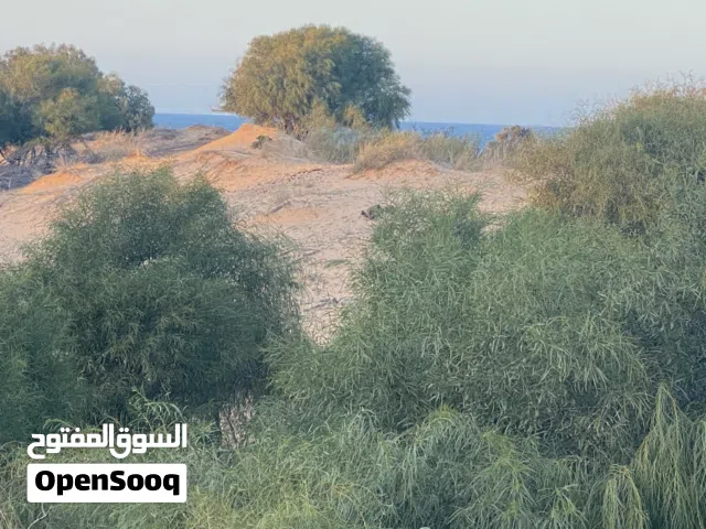 ارض واجهتين للبيع في الحشان خلف مسجد ابوزعنين