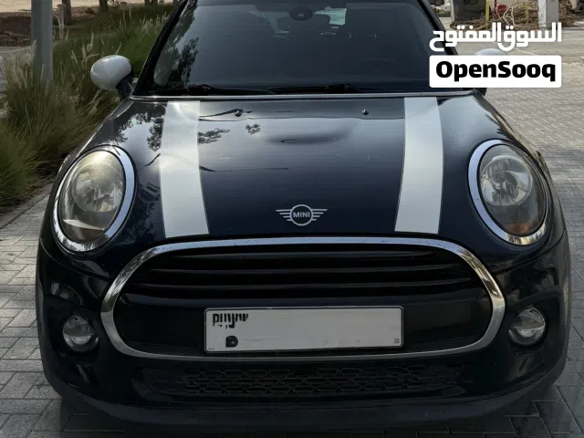 2019 ميني اخرى