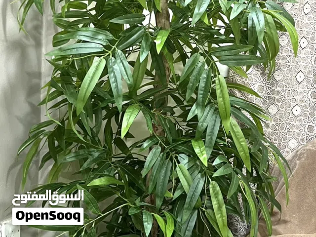 زرعة صناعي شبه جديده