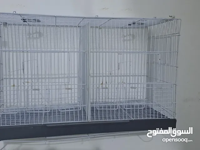 قفصين قسامه