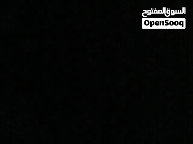 مطلوب ببغاء كنيور فل ترويض