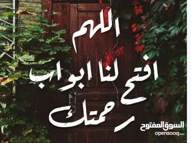 د ءلز أبو العز