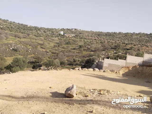 Farm Land for Sale in Zarqa Al-Alouk