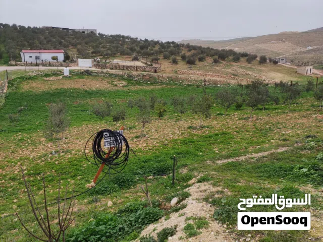 Farm Land for Sale in Mafraq Bala'ama