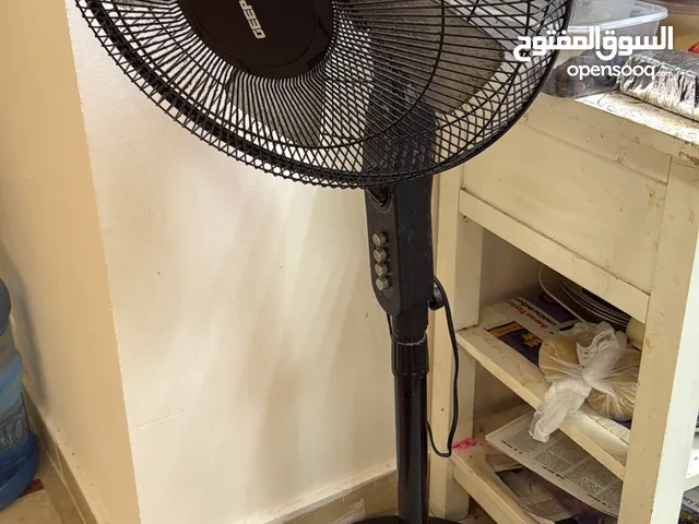 Fan Gappas