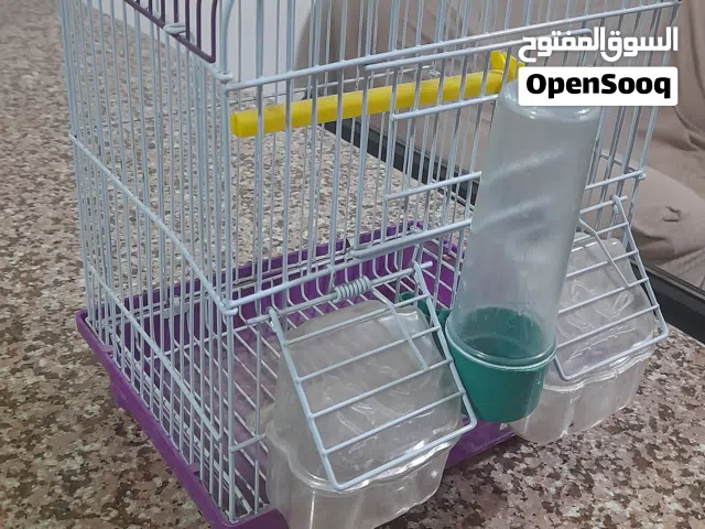 قفص عصافير صغير