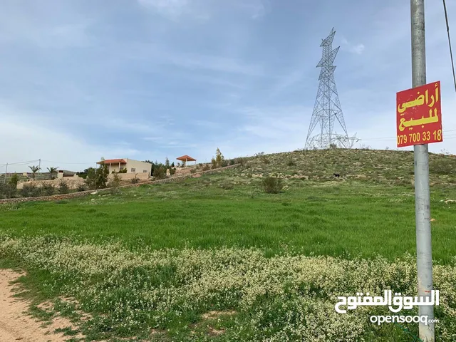 Farm Land for Sale in Zarqa Other