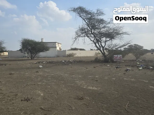السويق الخبه جنوب الأولى مساحة كبيرة