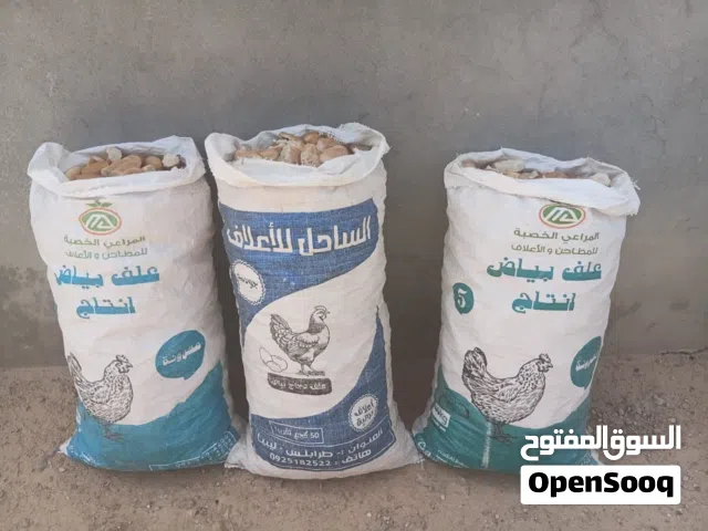خبزة حوش نضيفه