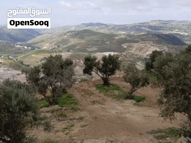 Residential Land for Sale in Amman Mahes