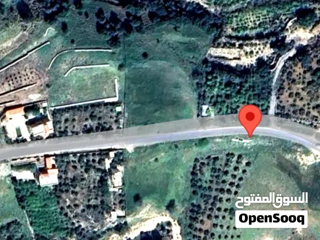 Farm Land for Sale in Amman Mahes