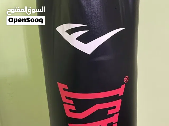 Boxing Bag + Gloves