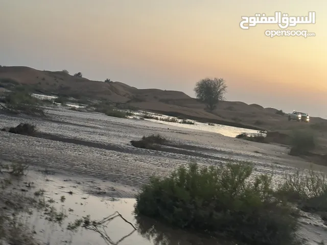 مطلوب بطاريه هارلي