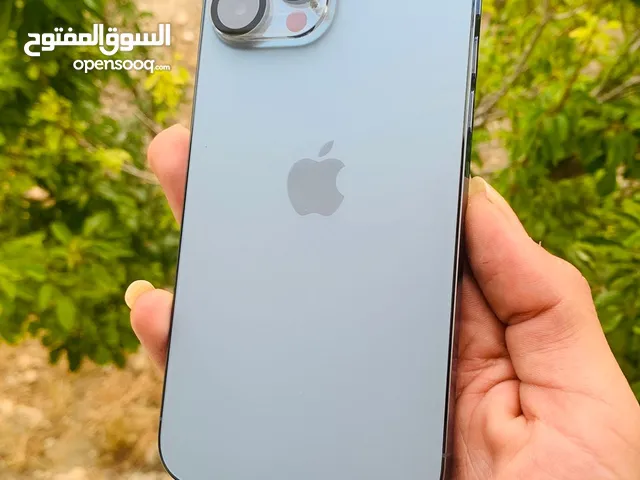 iphone 13 pro max 1000gb