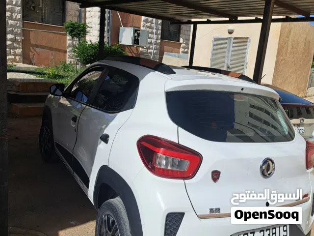 2022 دونج فينج EX1