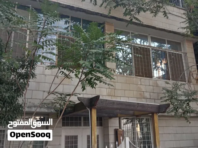 Building for Sale in Amman University Street