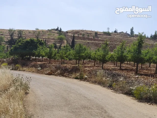 مزرعة للبيع