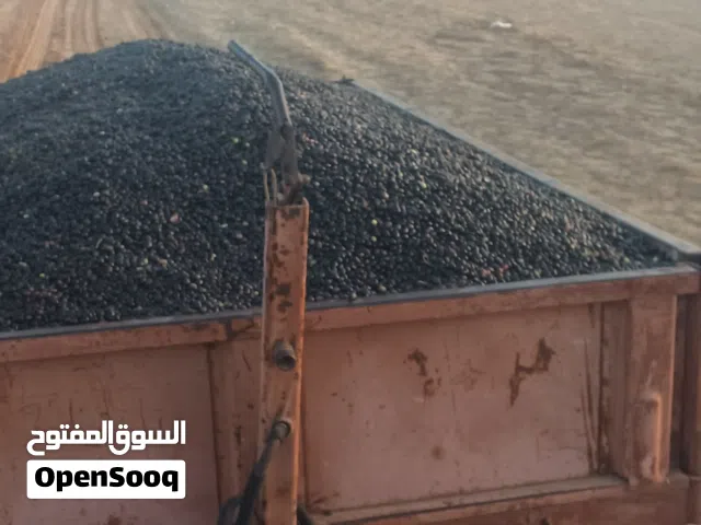 يوجد زيت زيتون زيت درجه ممتازه بسعر ممتاز
