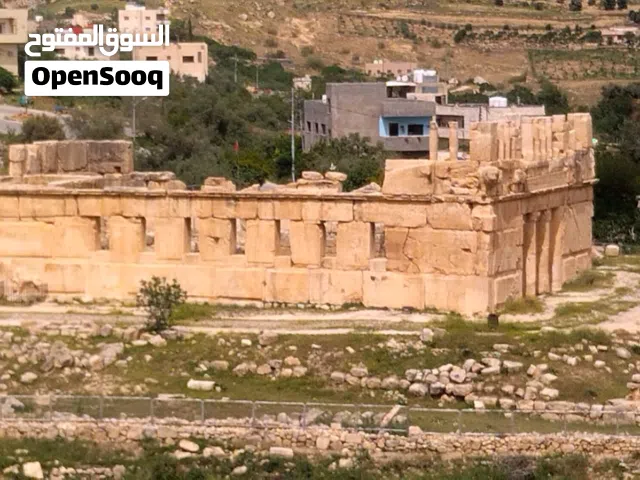 Farm Land for Sale in Amman Iraq Al Ameer