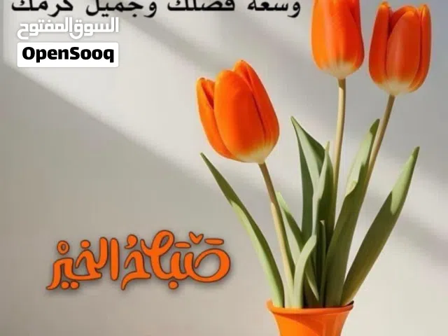 انشاء وبناء