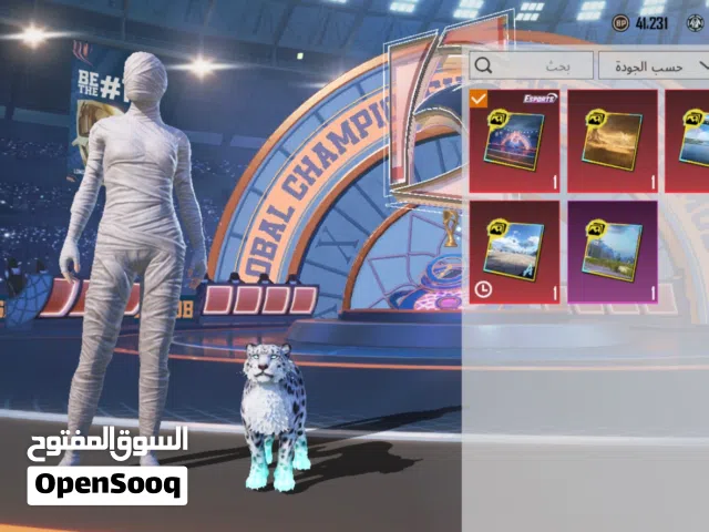 Pubg Accounts and Characters for Sale in Al Riyadh