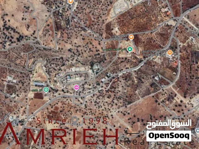 Residential Land for Sale in Amman Badr Jdedeh