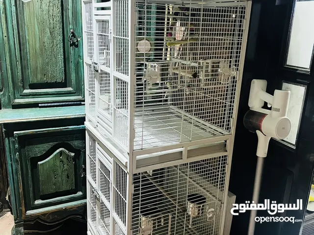 Big cage for parrot