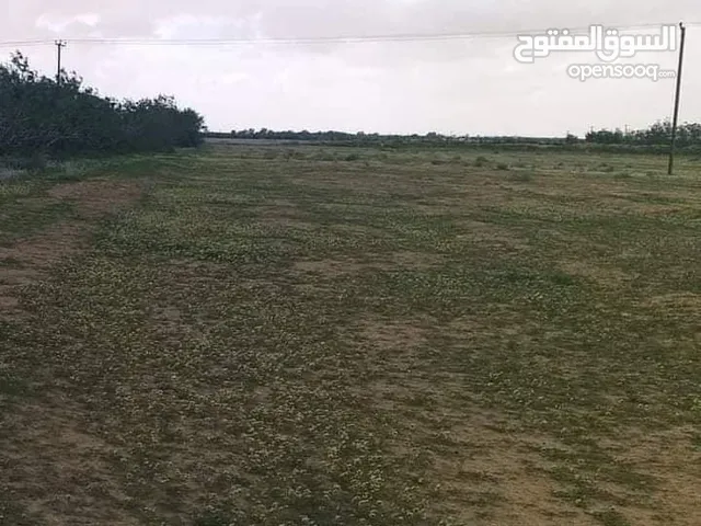 Farm Land for Sale in Misrata Other