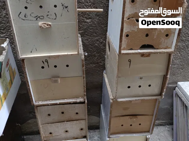 متاح بيوت تكاثر ابو الحاضنة مال طيور الحب