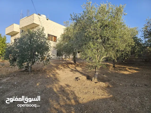 منزل مستقل لبيع في ذيبان