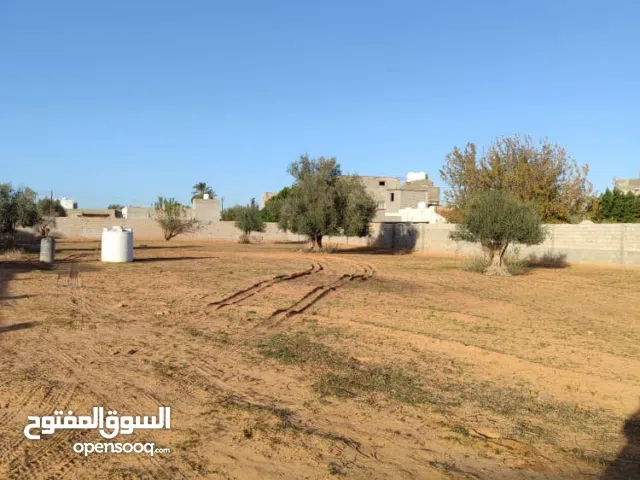 Residential Land for Sale in Tripoli Airport Road