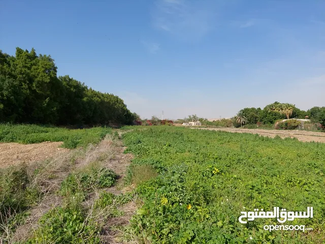 Residential Land for Sale in Jordan Valley Other