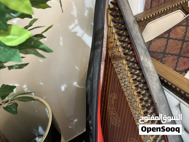 قانون انتيكة قديم عمره كبير