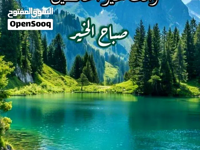 متعهد مباني