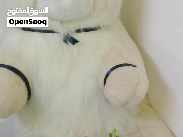 دب حجم كبير