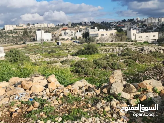 Residential Land for Sale in Ramallah and Al-Bireh Birzeit