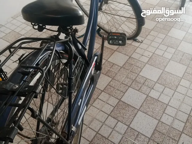 باسكل موزه