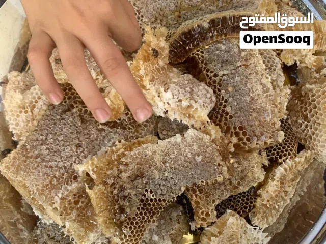 خلايا نحل كامله