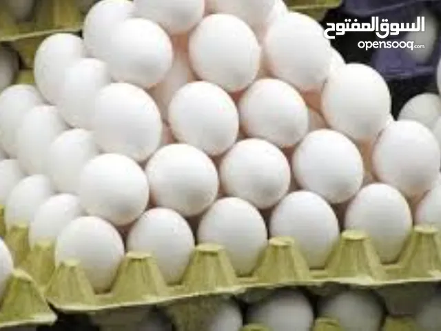 موجود 80بيضه بلدي بسعر 8دنانير