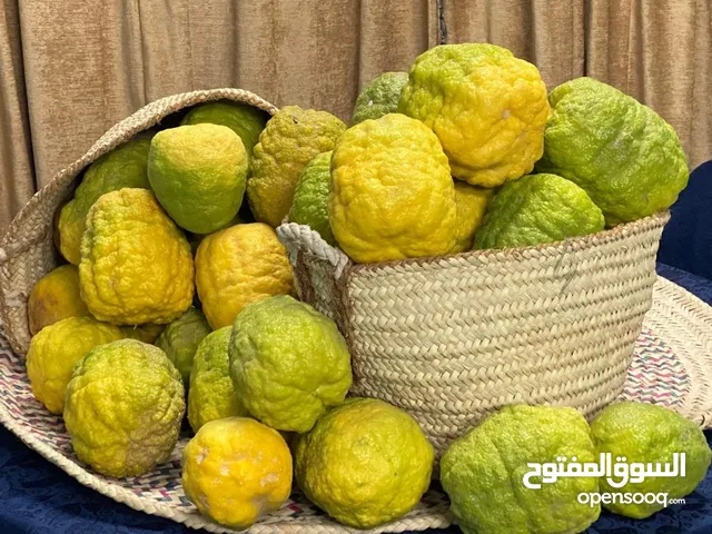 شاموم أو شخاخ