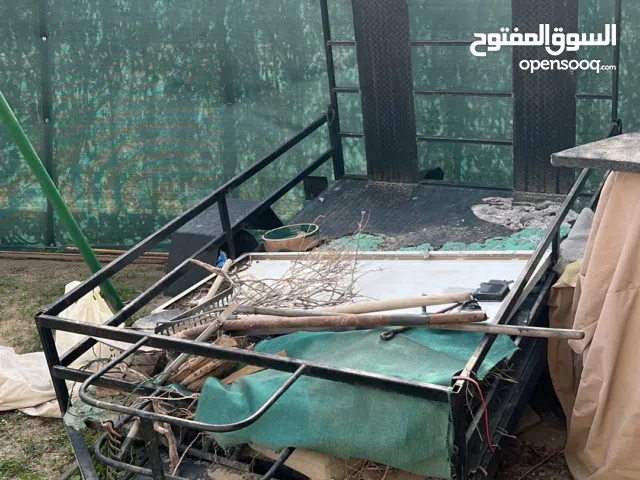 عربانه قالوصه