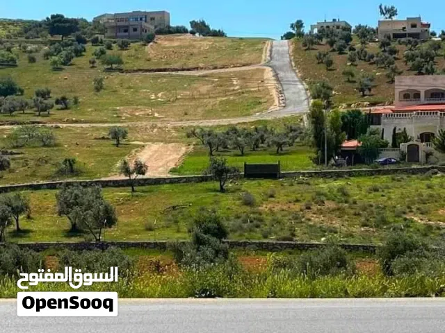 أرض لقطة من المالك