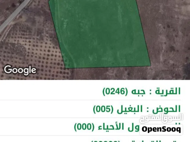 Farm Land for Sale in Jerash Other