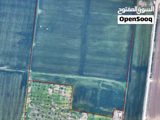 قطعة ارض صير