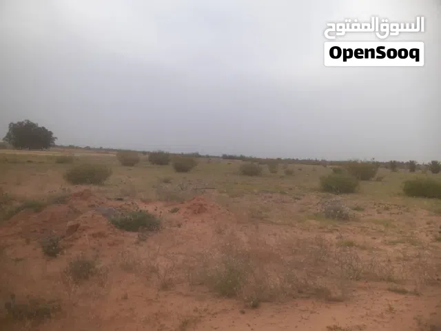 مخزن في المشتل لايجار