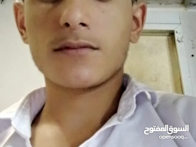 ياسر محمد علي البير