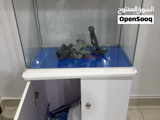 اكواريوم سمك جيدا جدا